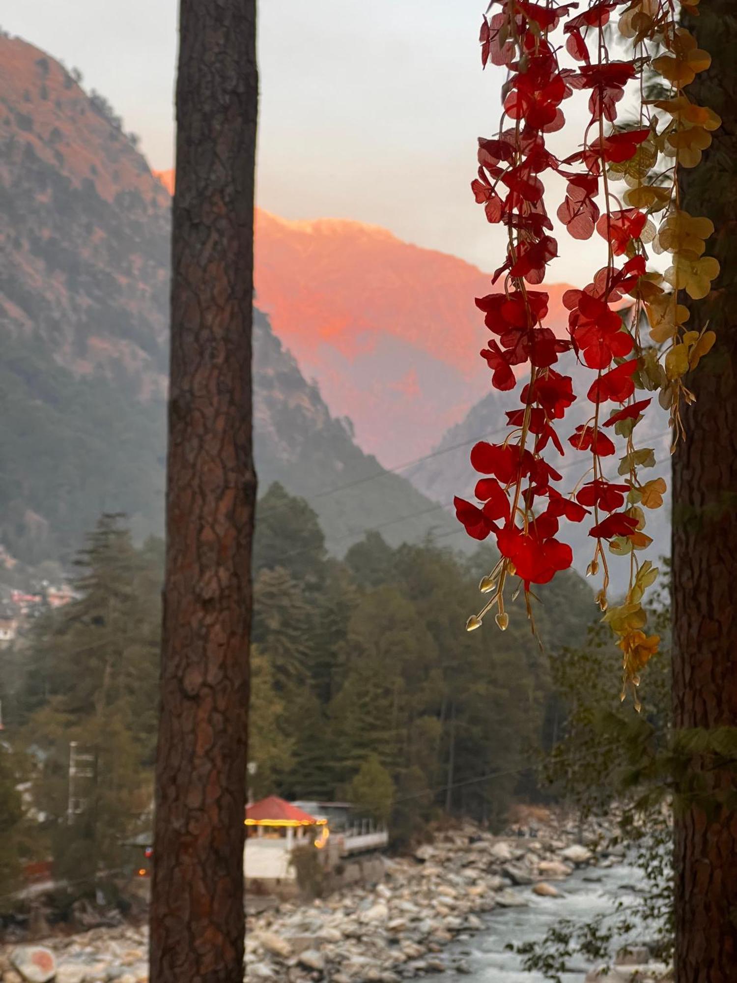 Ahava Kasol Riverside Cafe And Cottages Exterior foto